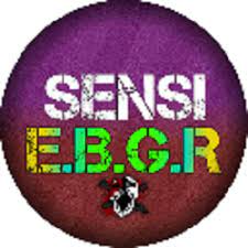Sensi E.B.G.R APK APK